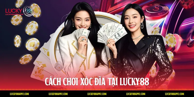 Cách chơi Xóc đĩa tại Lucky88