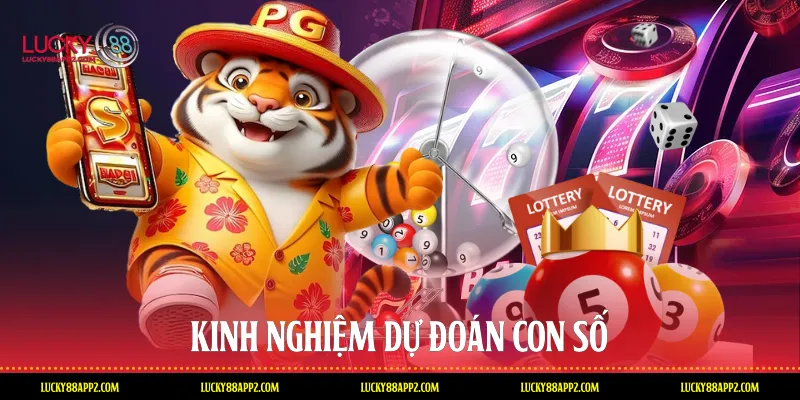Kinh nghiệm dự đoán con số
